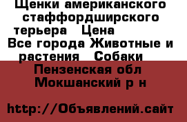 Щенки американского стаффордширского терьера › Цена ­ 20 000 - Все города Животные и растения » Собаки   . Пензенская обл.,Мокшанский р-н